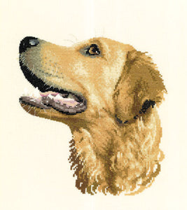 Golden Retriever Cross Stitch Kit, Gofa, Animal Portraits Heritage Crafts