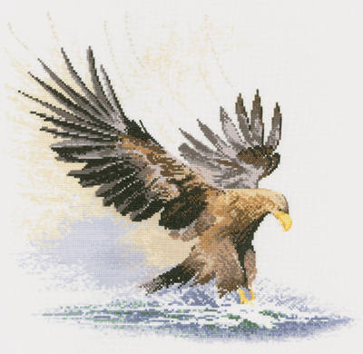 Eagle in Flight Counted Cross Stitch Kit, John Clayton, Heritage Crafts