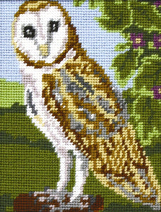 Owl Tapestry Kit, Needlepoint Starter, Anchor MR925