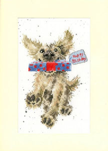 Special Delivery Cross Stitch Kit Greeting Card, Bothy Threads XGC31