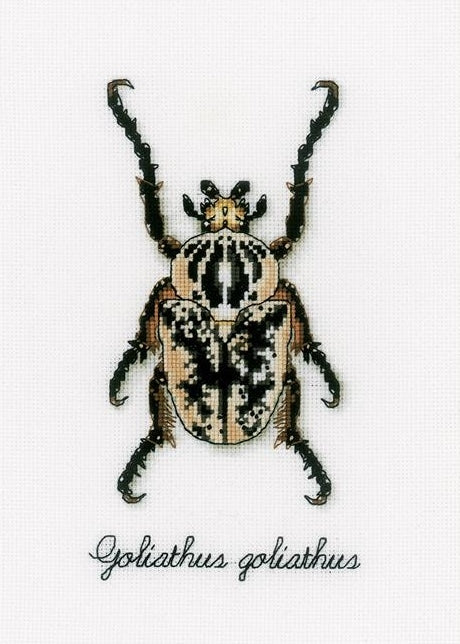 Beige Beetle Counted Cross Stitch Kit, Vervaco pn-0165400