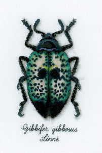 Blue Beetle Counted Cross Stitch Kit, Vervaco pn-0165369