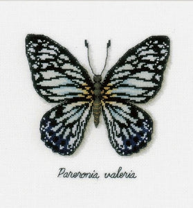 Blue Butterfly Counted Cross Stitch Kit, Vervaco pn-0165403