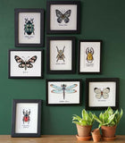 Insect Counted Cross Stitch Kits, Vervaco - SET OF 8 Beetles/Butterflies