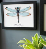 Dragonfly Counted Cross Stitch Kit, Vervaco pn-0165453