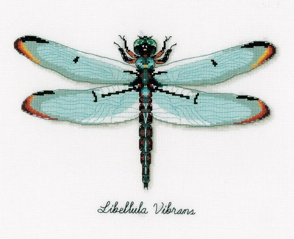 Dragonfly Counted Cross Stitch Kit, Vervaco pn-0165453