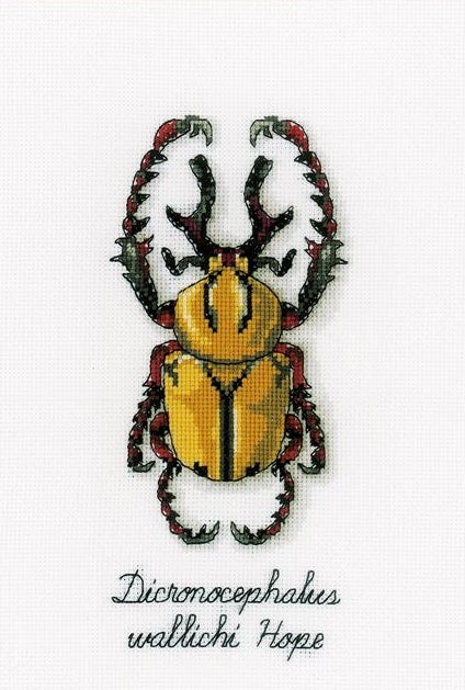 Golden Beetle Counted Cross Stitch Kit, Vervaco pn-0165220