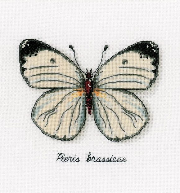 White Butterfly Counted Cross Stitch Kit, Vervaco pn-0165233