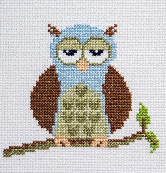 Wise Owl Starter Cross Stitch Kit, Pastime & Present Days PTPD04